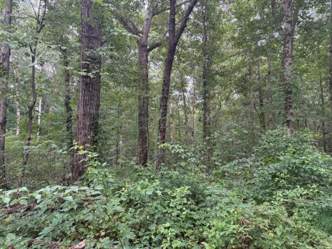 1 Tipple Road Tracy City TN 37387