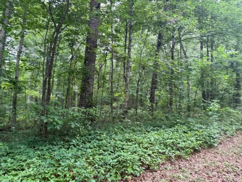 1 Tipple Road Tracy City TN 37387