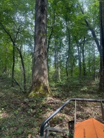 1 Tipple Road Tracy City TN 37387