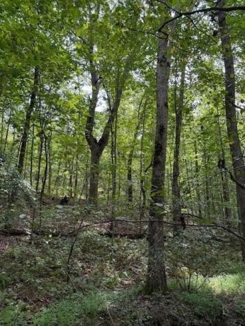 1 Tipple Road Tracy City TN 37387