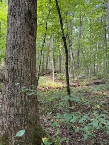 1 Tipple Road Tracy City TN 37387