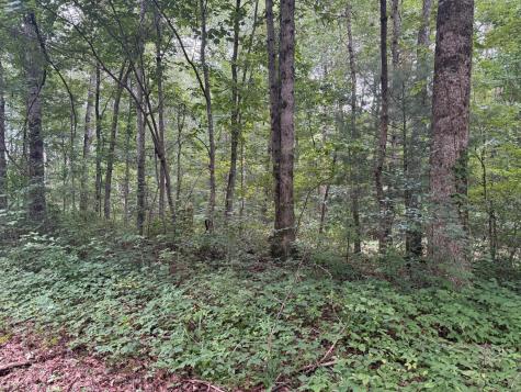 1 Tipple Road Tracy City TN 37387