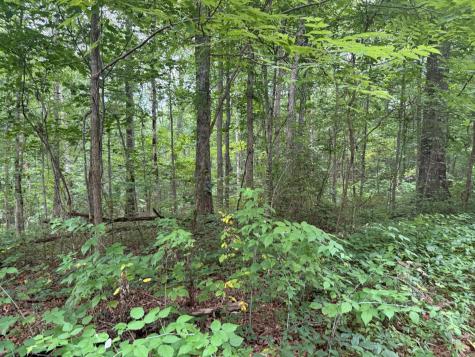 1 Tipple Road Tracy City TN 37387