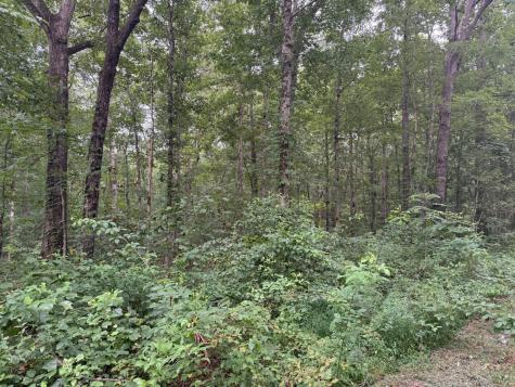 1 Tipple Road Tracy City TN 37387