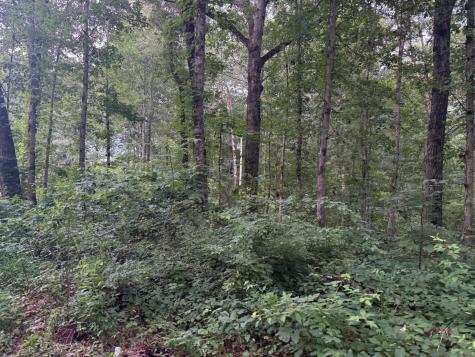 1 Tipple Road Tracy City TN 37387