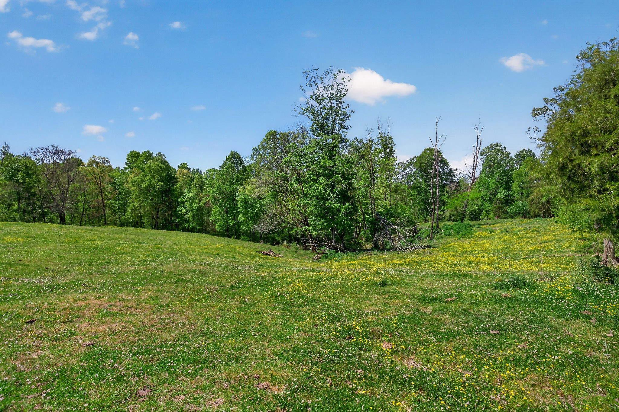 0 Corinth Church Road Rock Island TN 38581