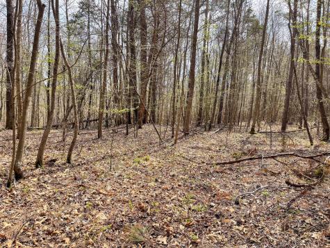 0 Holladay Road Holladay TN 38341