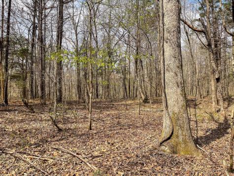 0 Holladay Road Holladay TN 38341