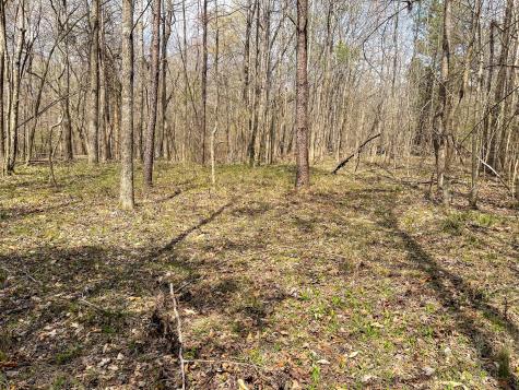 0 Holladay Road Holladay TN 38341