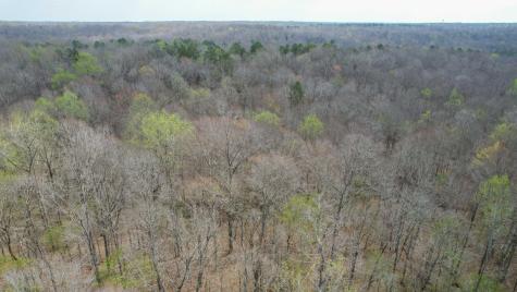 0 Holladay Road Holladay TN 38341