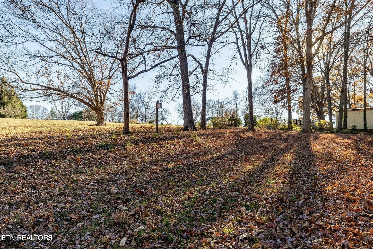 1534 Mcilvaine Drive Maryville TN 37803