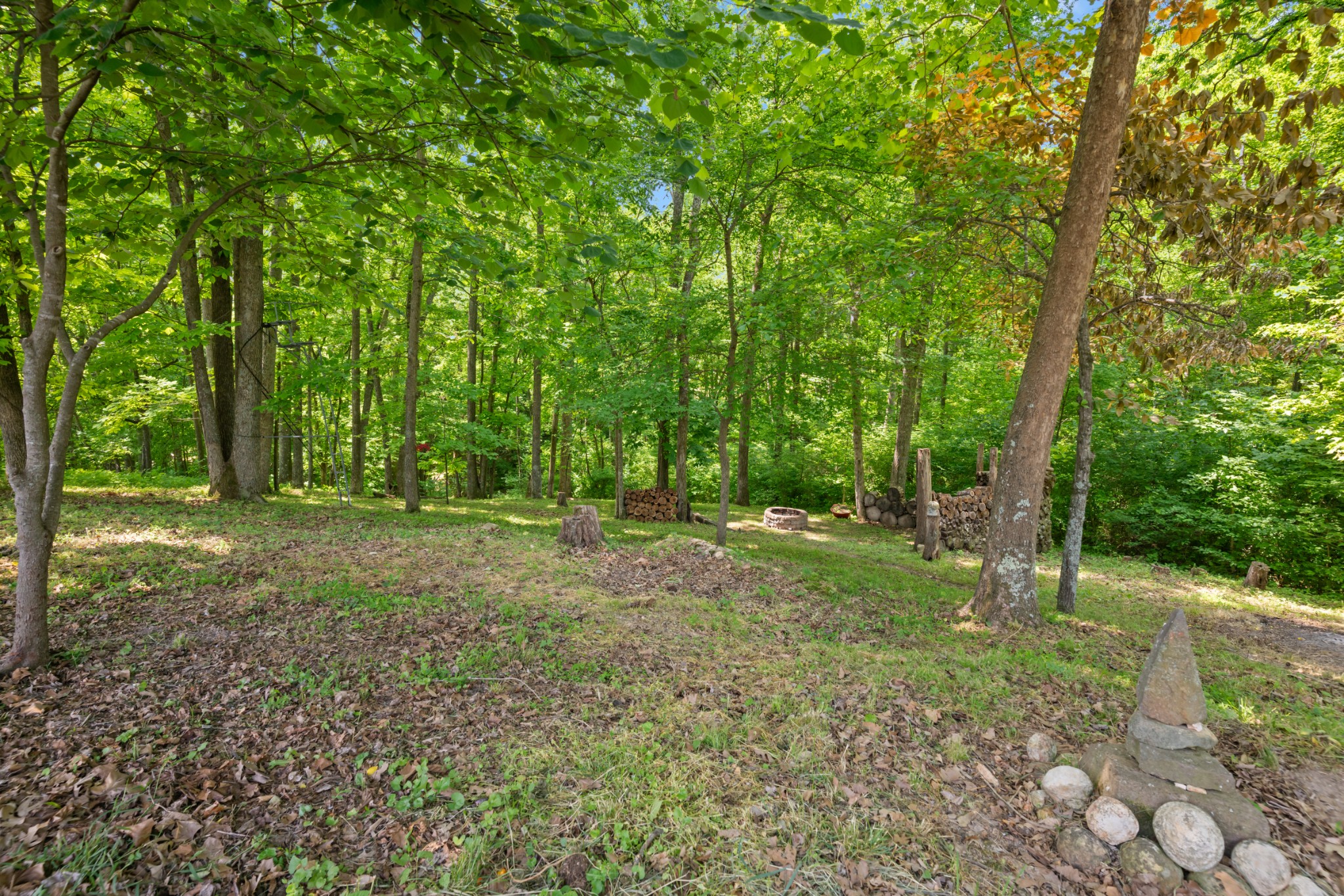 1456 Rustys Lane Clarksville TN 37042