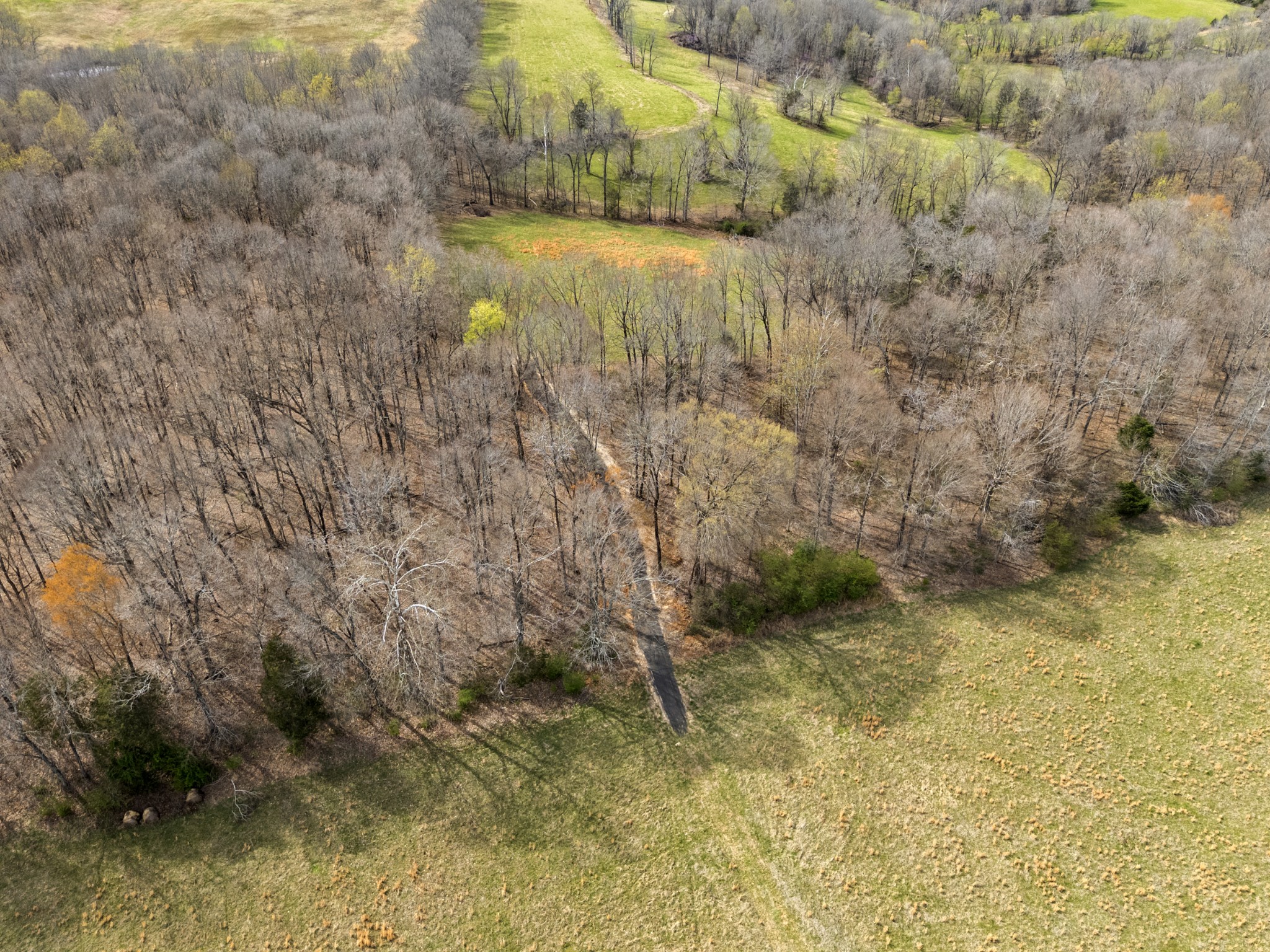 0 Maple Grove Road Dickson TN 37055
