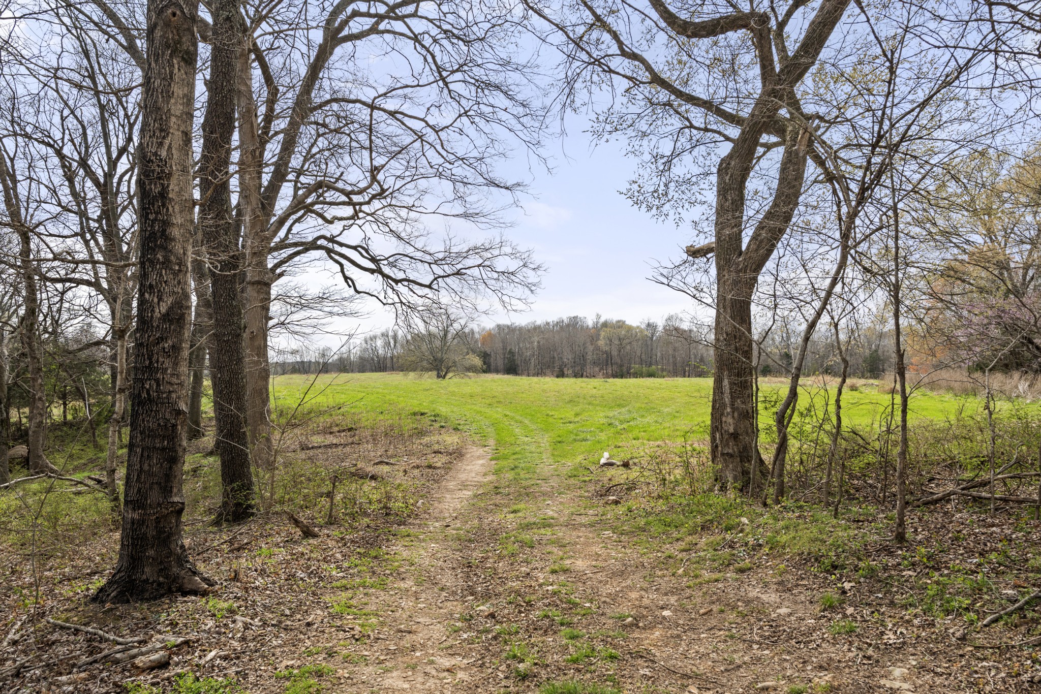 0 Maple Grove Road Dickson TN 37055