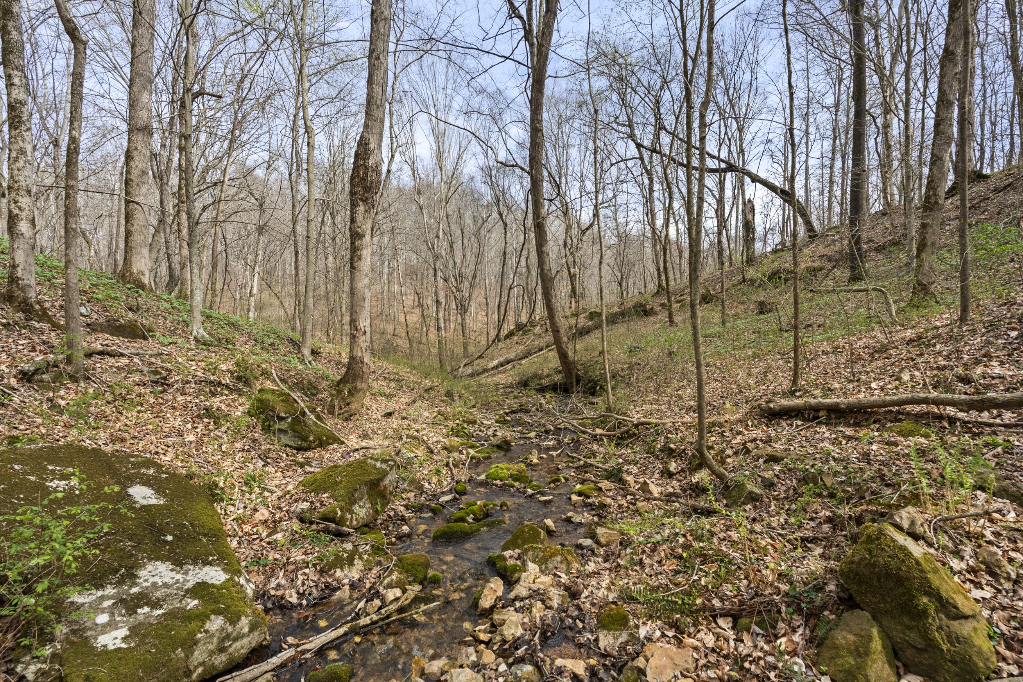 0 Maple Grove Road Dickson TN 37055