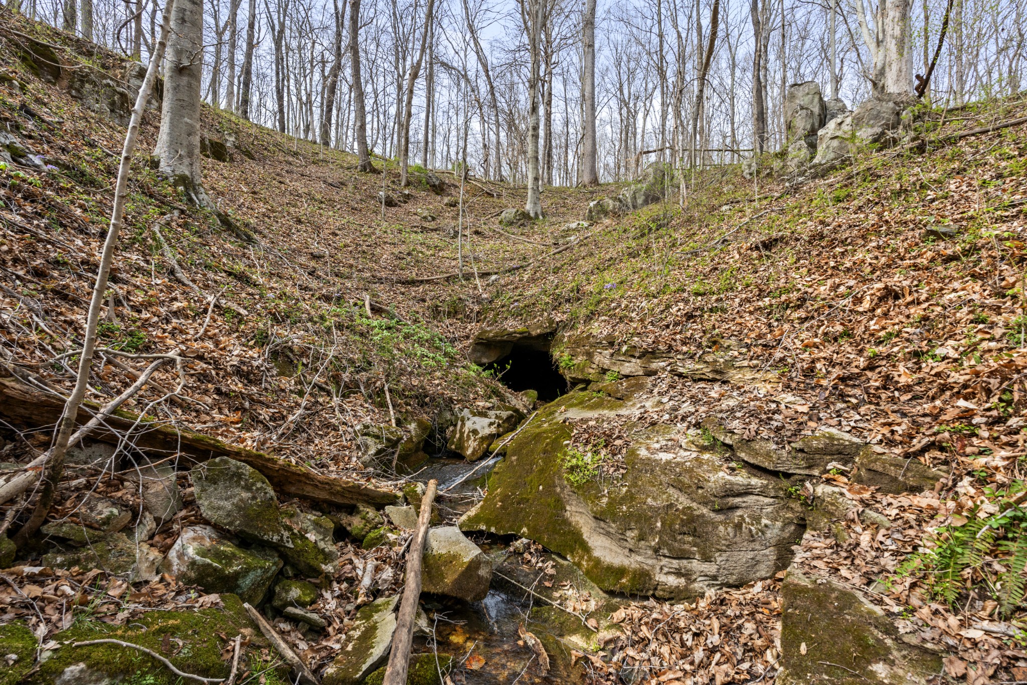 0 Maple Grove Road Dickson TN 37055