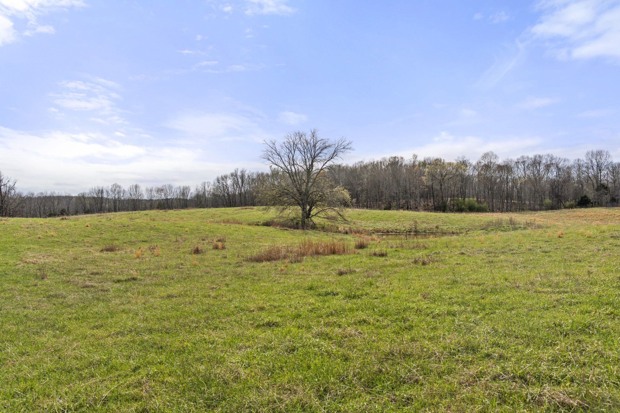 0 Maple Grove Road Dickson TN 37055