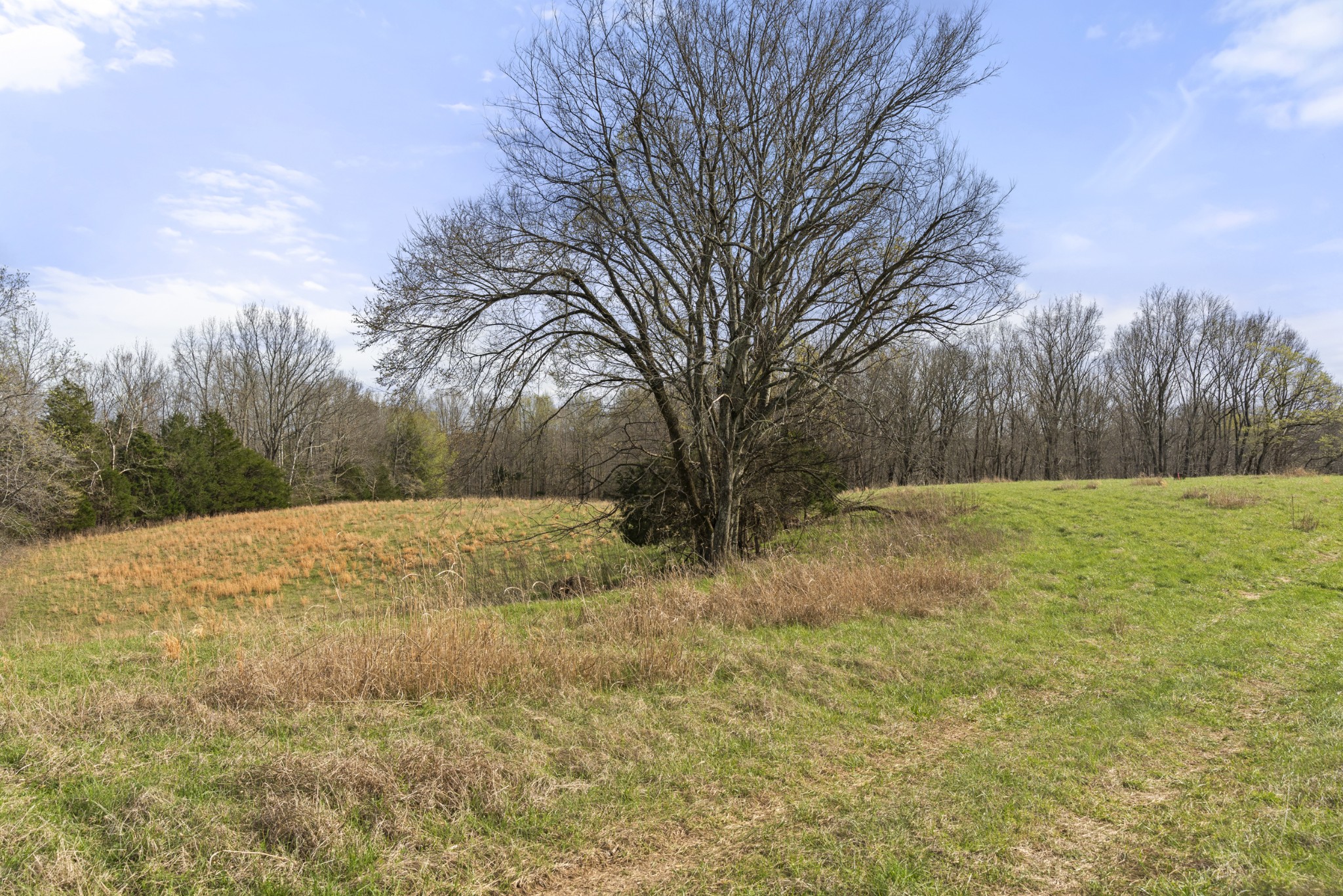 0 Maple Grove Road Dickson TN 37055