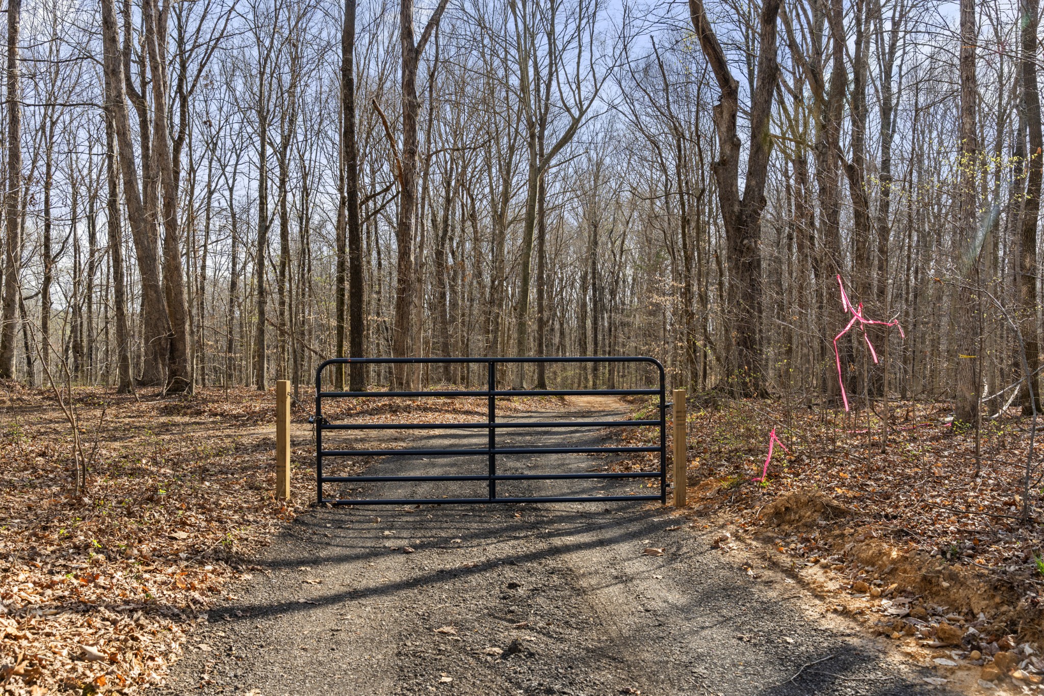 0 Maple Grove Road Dickson TN 37055