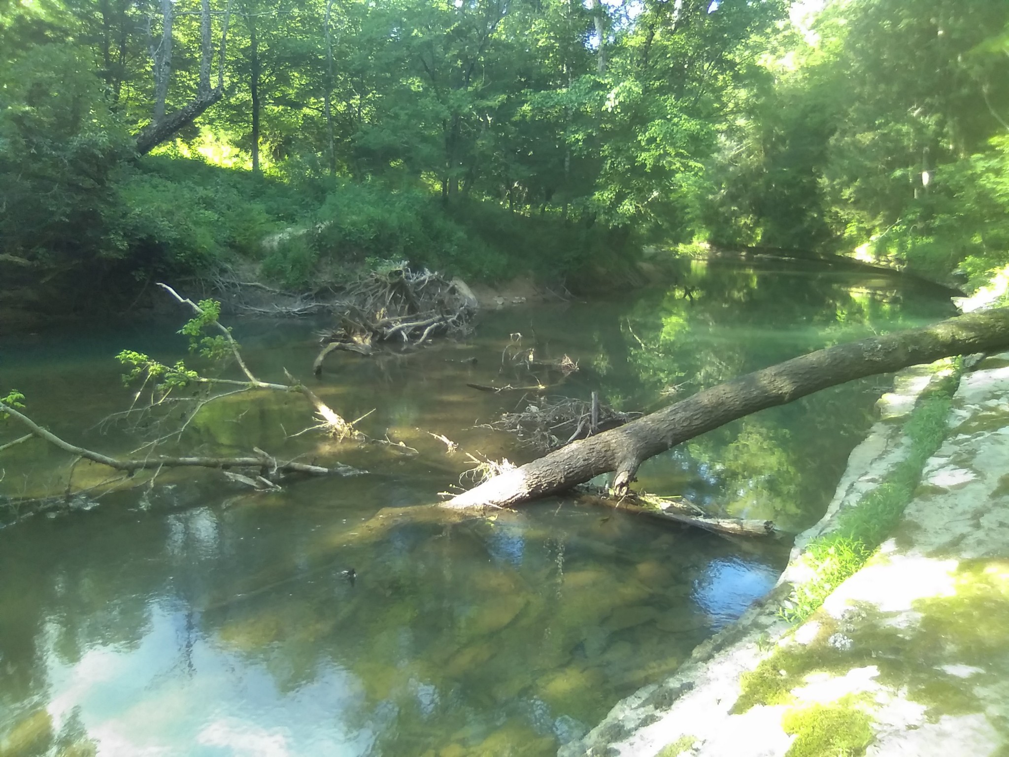 2359 Mack Floyd Road Sparta TN 38583