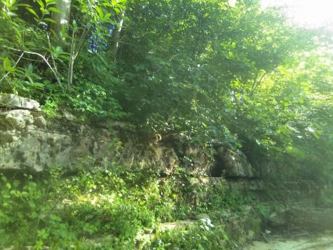 2359 Mack Floyd Road Sparta TN 38583