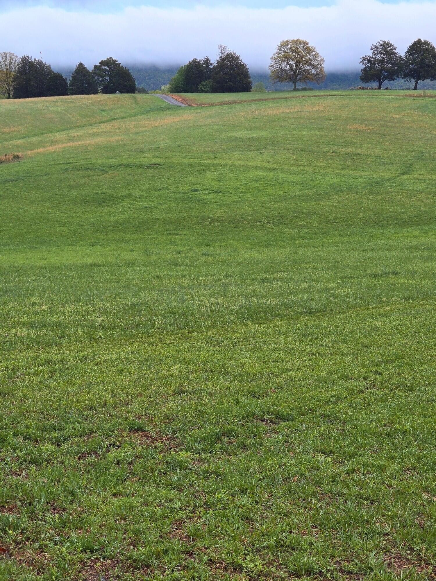 0 John Burch Road Dunlap TN 37327