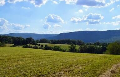 0 John Burch Road Dunlap TN 37327