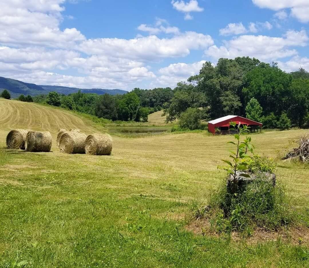 0 John Burch Road Dunlap TN 37327