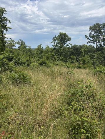 0 Sawmill Creek Road Dunlap TN 37327