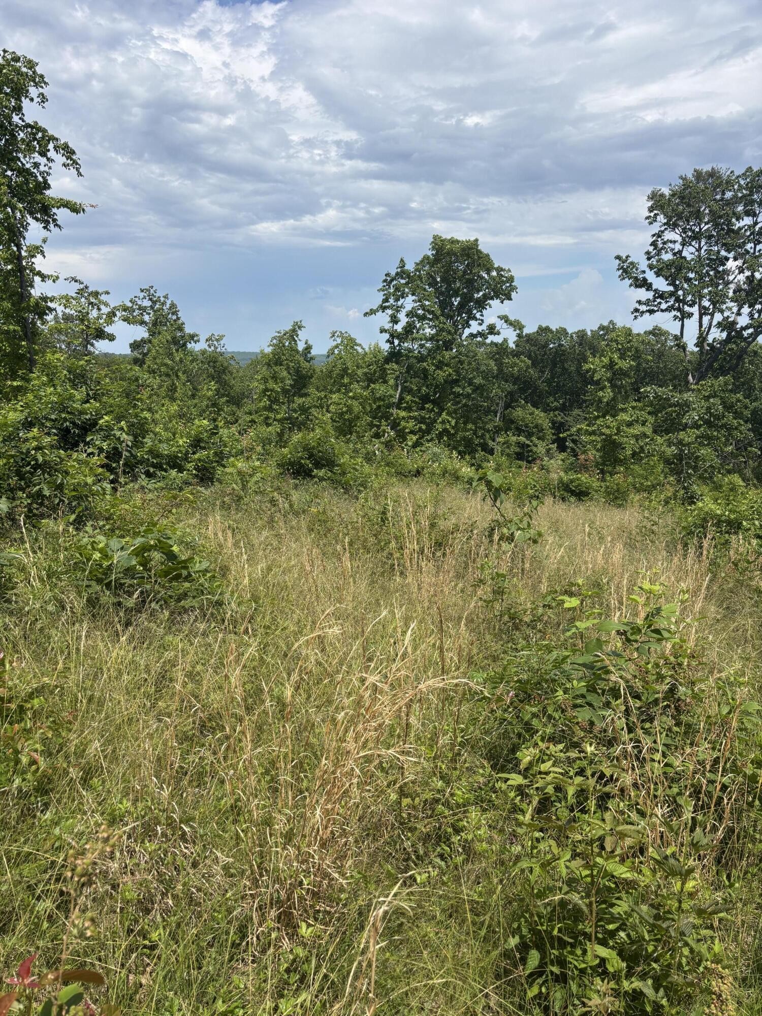 0 Sawmill Creek Road Dunlap TN 37327