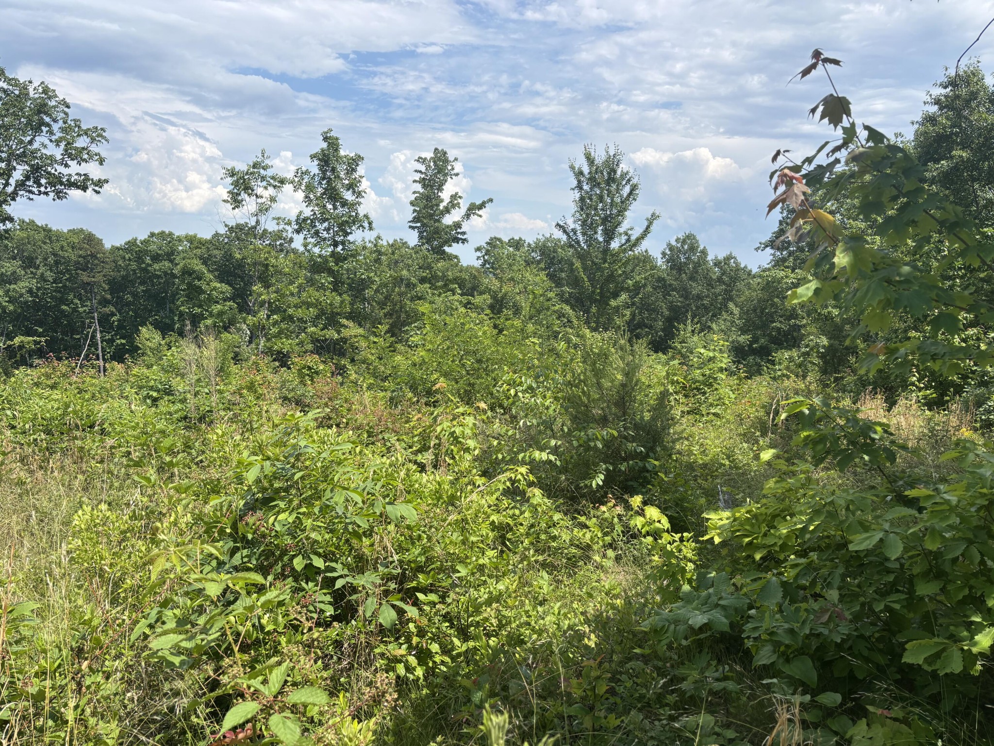 0 Sawmill Creek Road Dunlap TN 37327