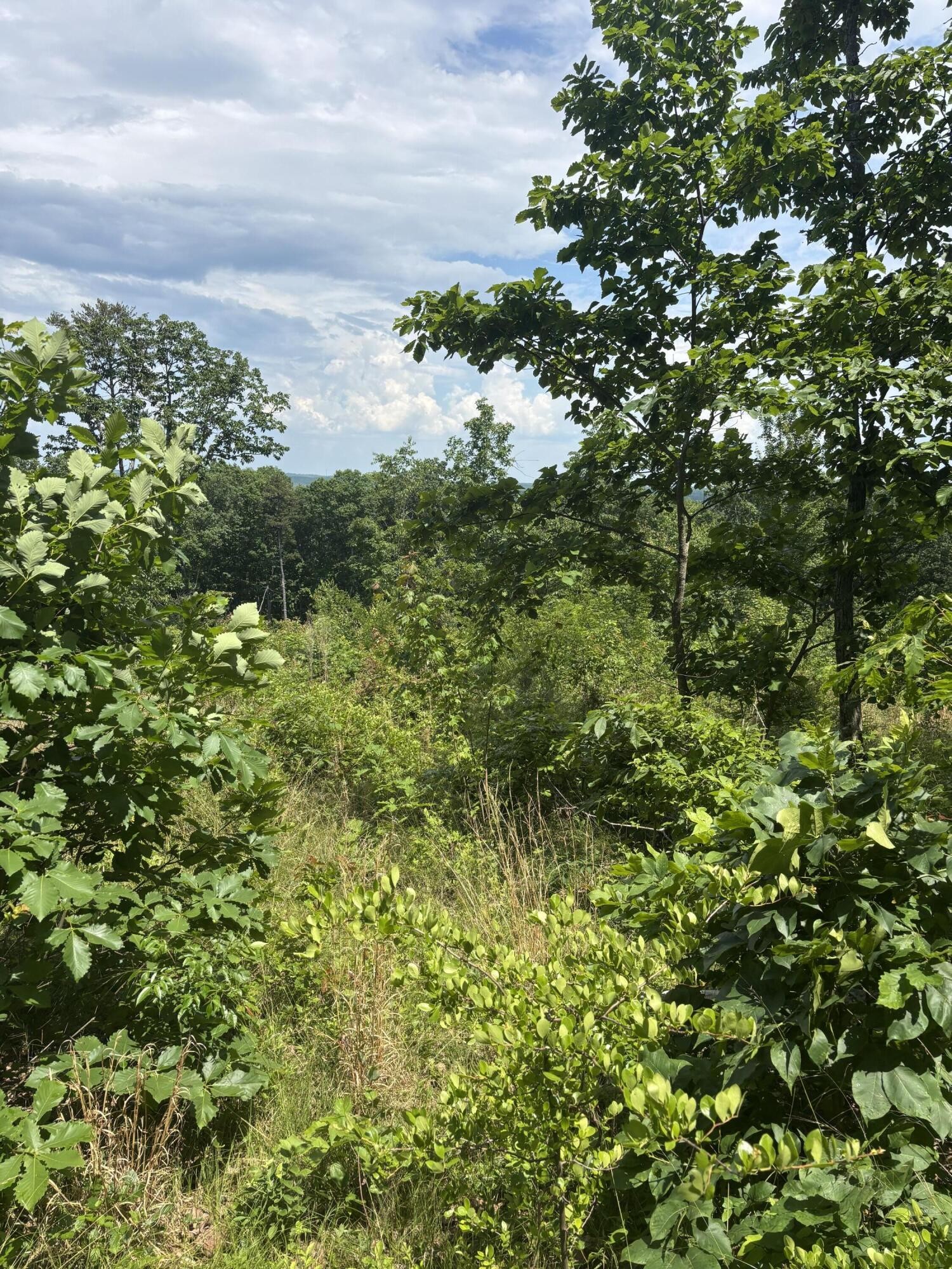 0 Sawmill Creek Road Dunlap TN 37327