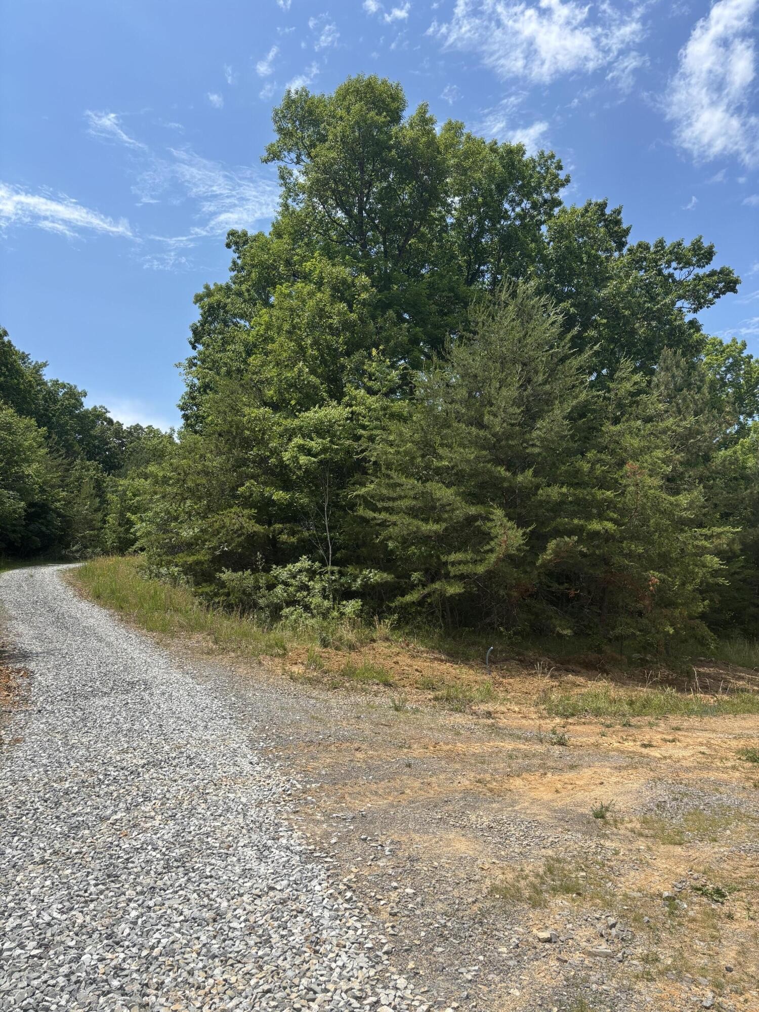 0 Sawmill Creek Road Dunlap TN 37327