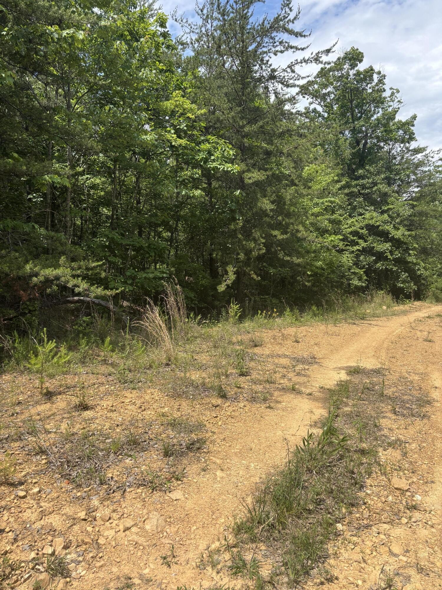 0 Sawmill Creek Road Dunlap TN 37327