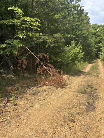 0 Sawmill Creek Road Dunlap TN 37327
