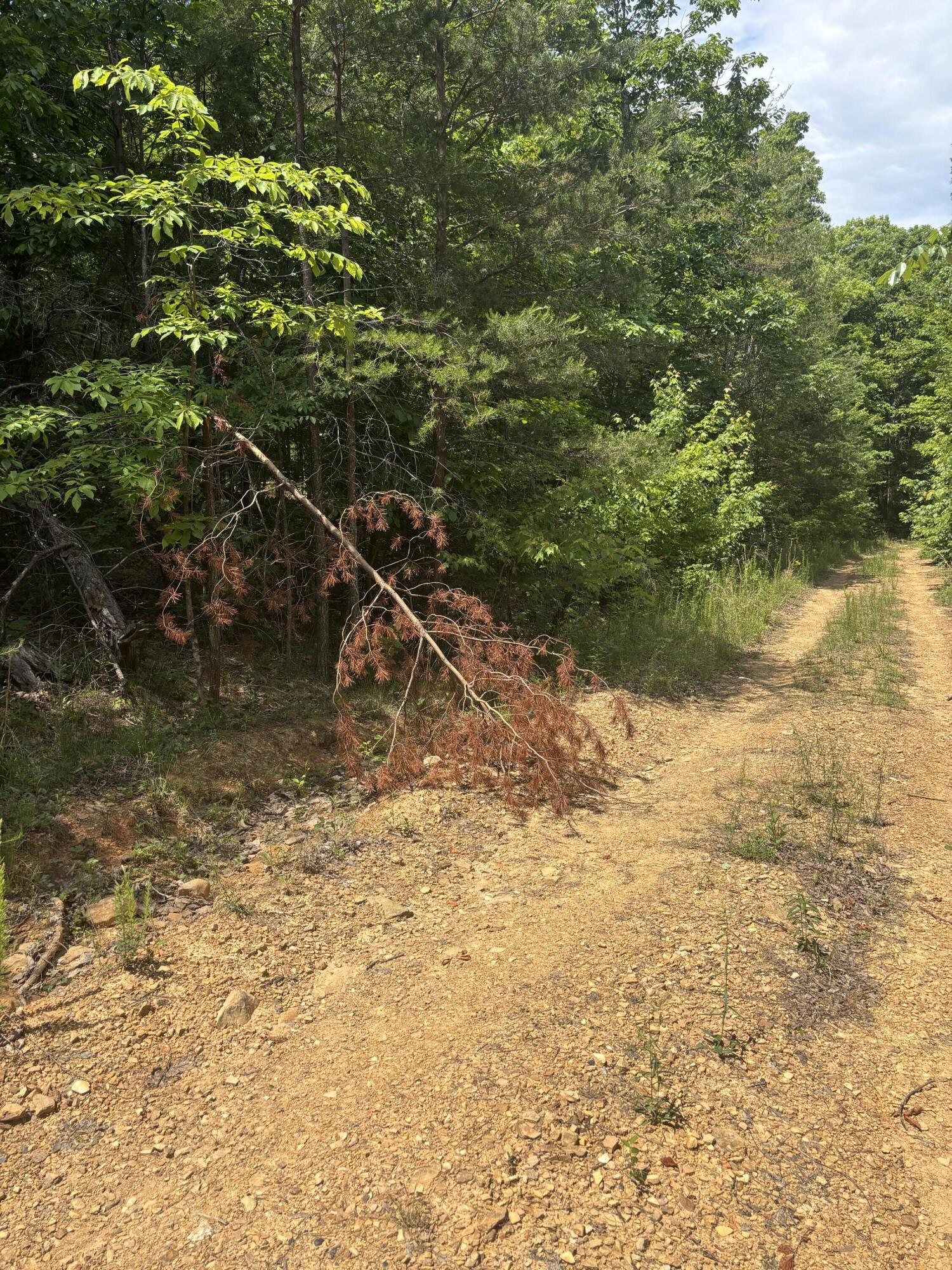 0 Sawmill Creek Road Dunlap TN 37327