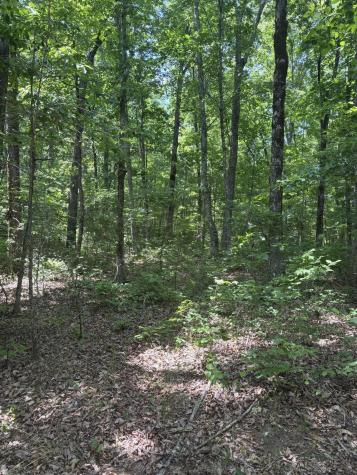 0 Sawmill Creek Road Dunlap TN 37327