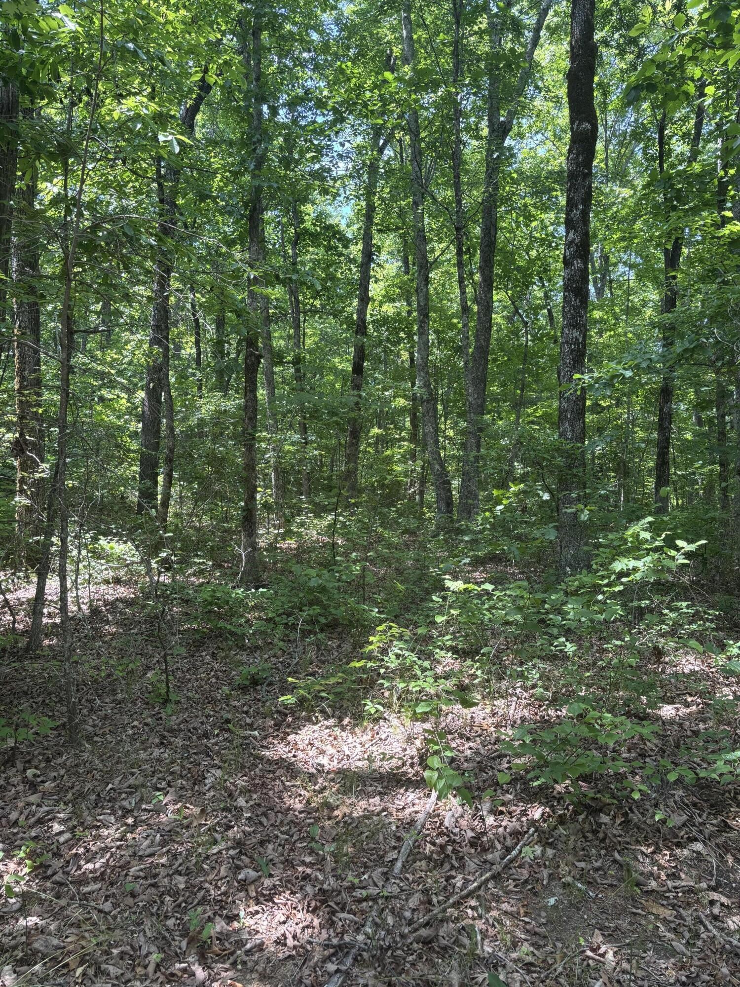 0 Sawmill Creek Road Dunlap TN 37327
