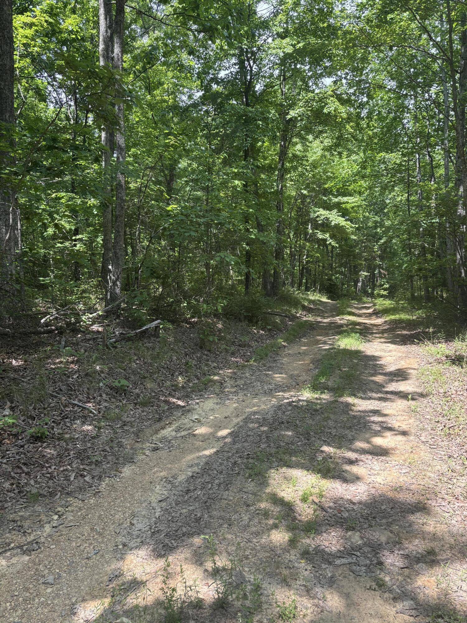 0 Sawmill Creek Road Dunlap TN 37327