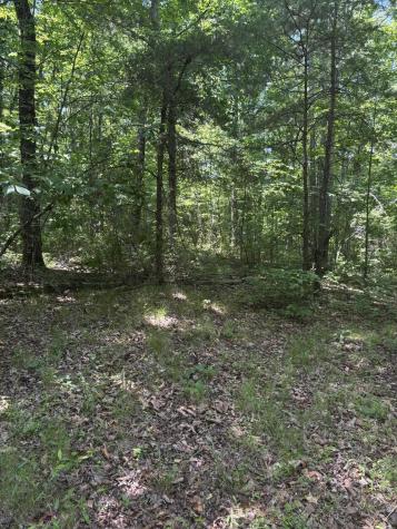 0 Sawmill Creek Road Dunlap TN 37327