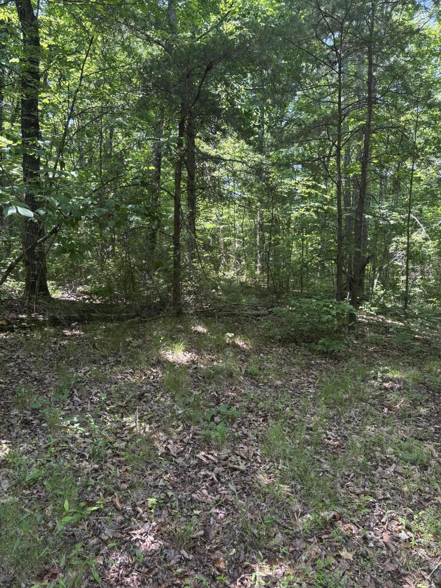 0 Sawmill Creek Road Dunlap TN 37327