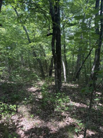 0 Sawmill Creek Road Dunlap TN 37327