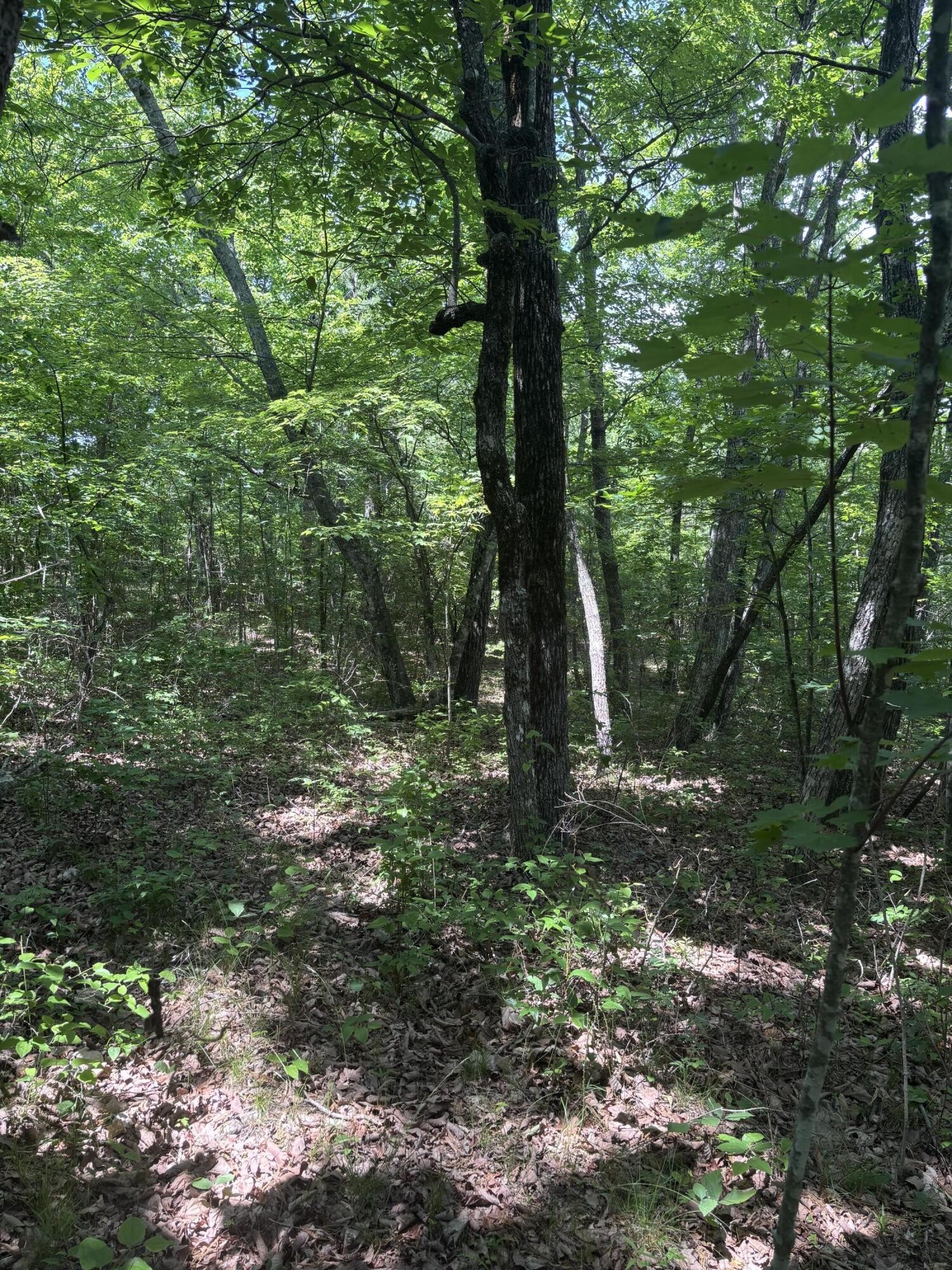 0 Sawmill Creek Road Dunlap TN 37327