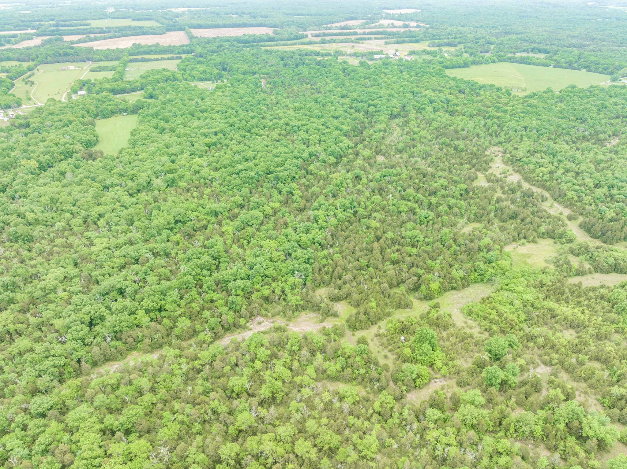 3119 Luke Moser Road Columbia TN 38401