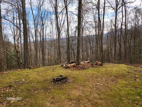 619 Esslinger Drive Gatlinburg TN 37738