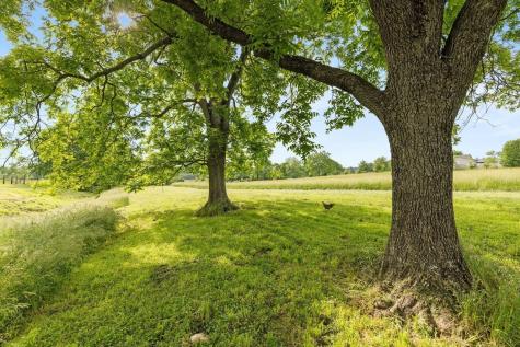 3310 Booker Ridge Road Mount Pleasant TN 38474