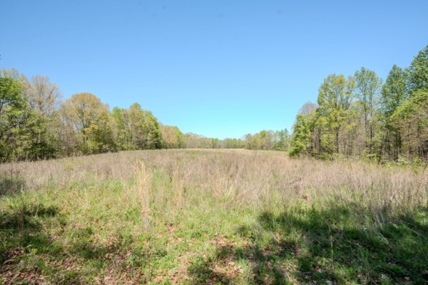 2167 Powdermill Hill Road Lawrenceburg TN 38464
