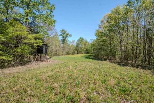 2167 Powdermill Hill Road Lawrenceburg TN 38464