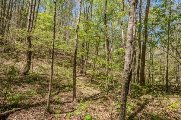 2167 Powdermill Hill Road Lawrenceburg TN 38464