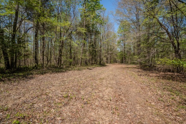 2167 Powdermill Hill Road Lawrenceburg TN 38464
